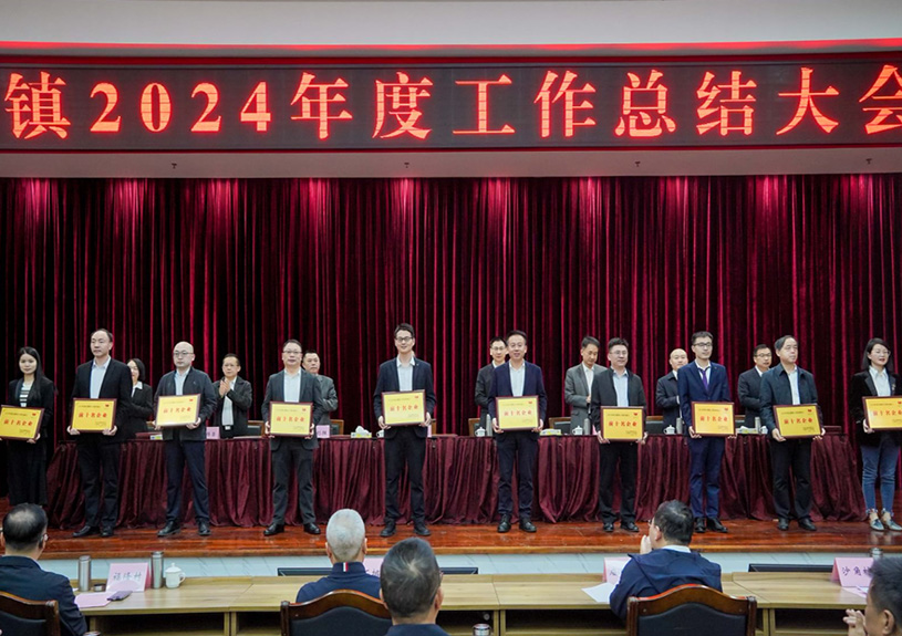 双项殊荣！IM体育电声荣登石排镇2024年度“双十强”榜单